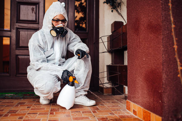 Reliable Wasp Removal contractor in Aztec, NM by Show Me Pest Control